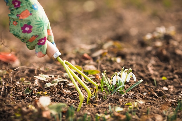 Hands planting