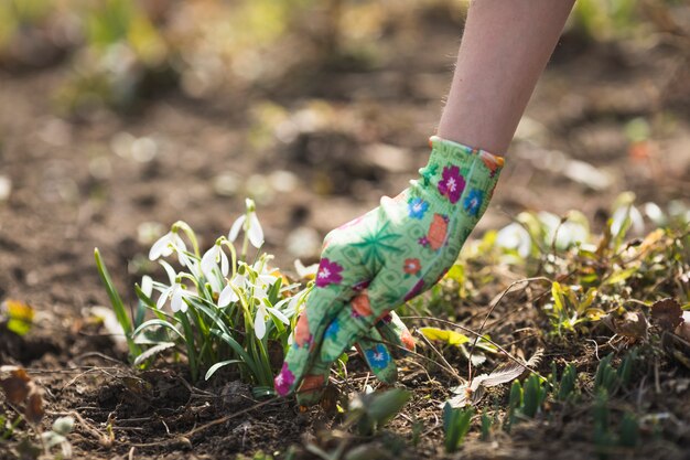 Hands planting