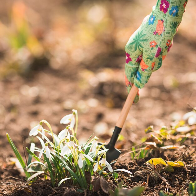 Hands planting