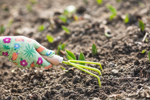 Hands planting