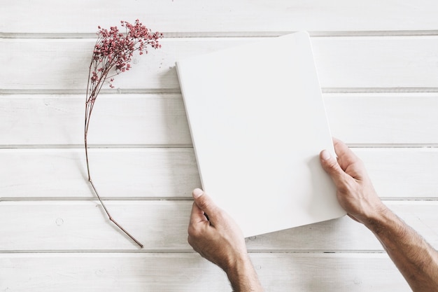 Hands touching page next to flower