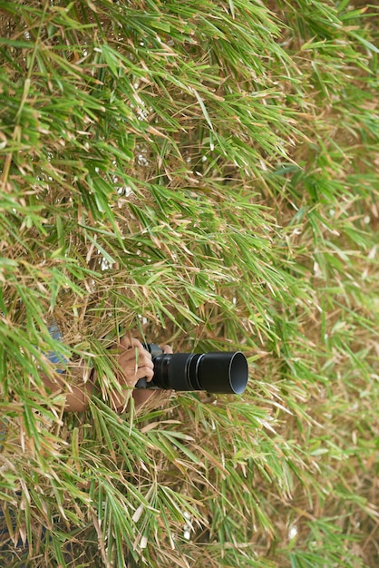 Hands of unrecognizable photographer hiding in thick vegetation and holding camera