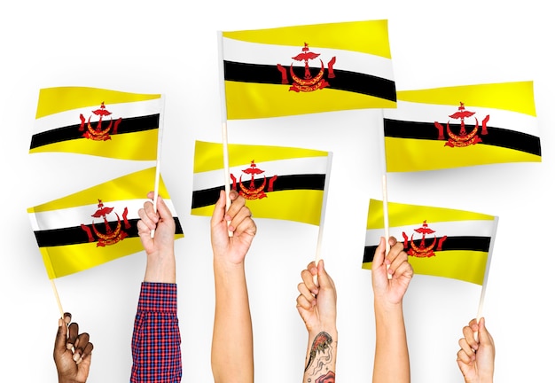 Foto gratuita mani che sventolano bandiere del brunei