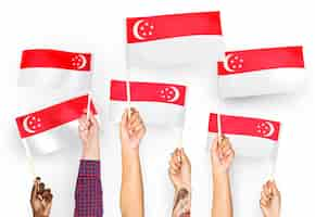 Free photo hands waving flags of singapore