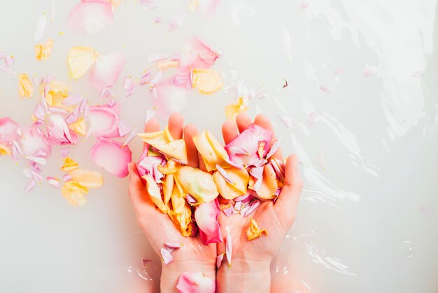 Hands with pile of petals