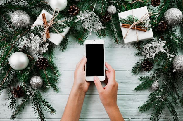 Hands with smartphone near fir twigs