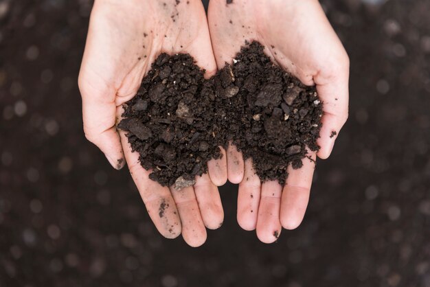 Hands with soil