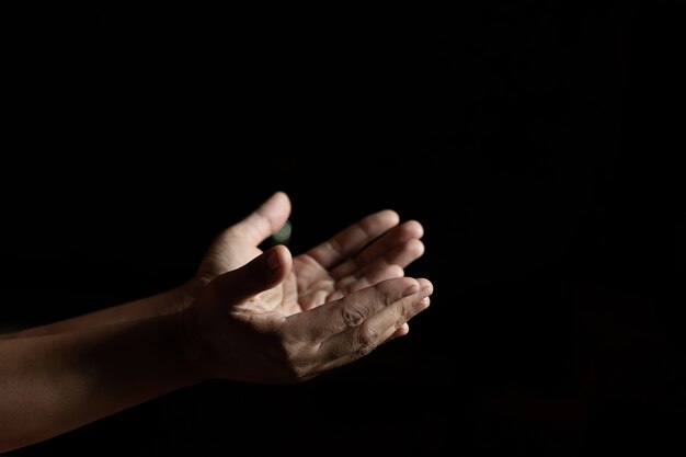  hands of women who raise their hands