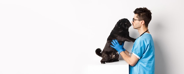 Free photo handsome doctor veterinarian examining cute black pug dog at vet clinic standing over white backgrou