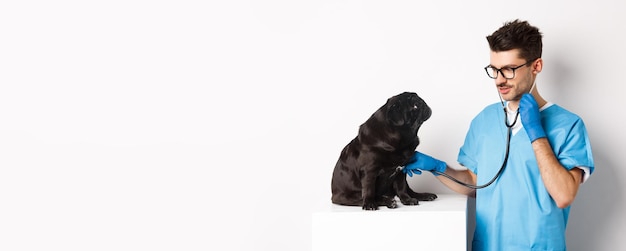 Handsome doctor veterinarian smiling examining pet in vet clinic checking pug dog with stethoscope s