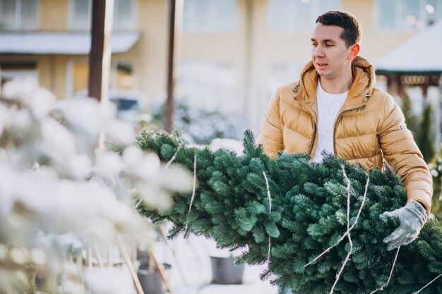 Handsome man choosing a christmas tree in a greenhouse