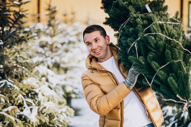 Handsome man choosing a christmas tree in a greenhouse