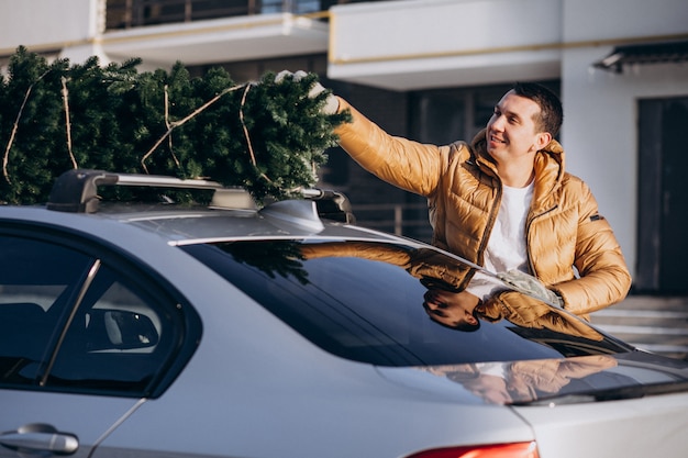 Handsome man loading christmas tree on car
