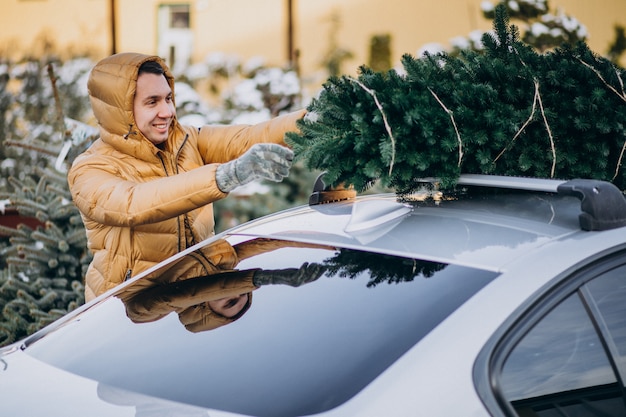 車にクリスマスツリーを固定するハンサムな男