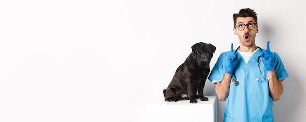 Foto gratuita bel giovane medico presso la clinica veterinaria che punta le dita verso l'alto e sembra stupito in piedi vicino al nero carino