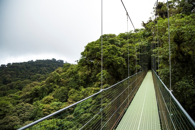 Hanging bridge in rainforest at costa rica