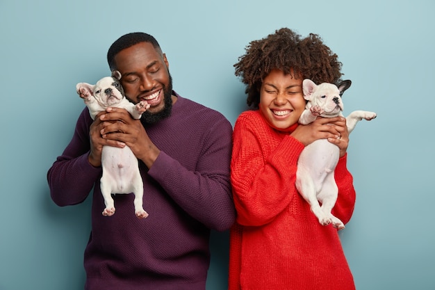 Happy Afro American lady and man pose with pleasure, hold two little puppies, like spending time with dogs, smile positively, isolated over blue wall. Family, happiness, animals concept