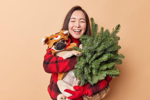 Happy Asian woman carries pug dof dressed in winter clothes for having walk during cold weather holds green spruce branches laughs positively prepares for holidays isolated over beige background