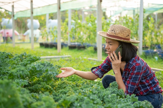 幸せなアジアの女性農家の収穫と新鮮なケールレタス植物、保育園の庭の有機野菜をチェックします。ビジネスとファーマーズマーケットのコンセプト。携帯電話を使用している女性農民。