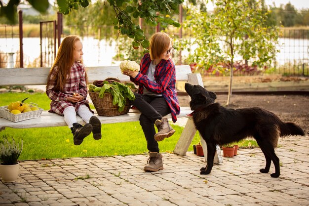 Happy brother and sister with basket of seasonal food in a garden outdoors together.