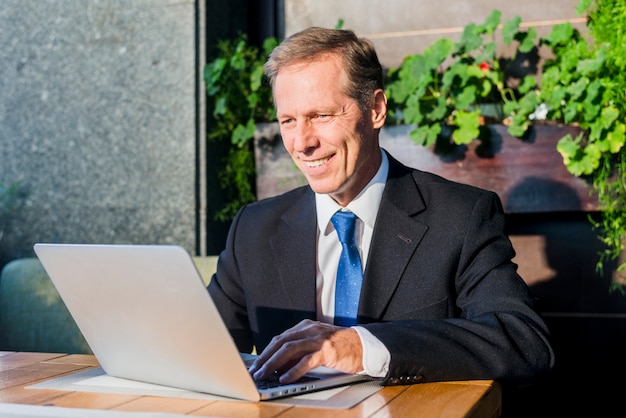 Happy businessman working on laptop in restaurant