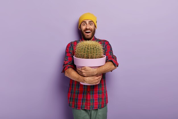 Happy Caucasian man embraces pot with big cactus, being plant lover, receives indoor plant as present