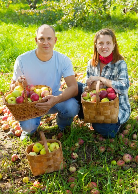 Happy couple with apples harvest