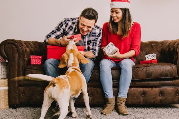 Happy couple with dog at christmas