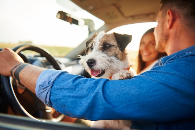 ロードトリップ中に車の中で幸せな犬