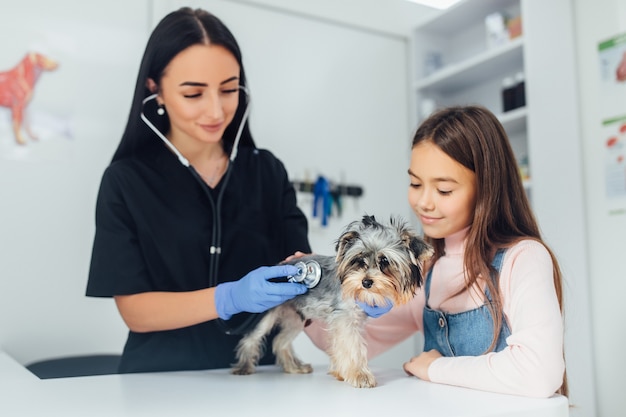 best pet clinic in Kolkata, one of the best pet clinics in Kolkata