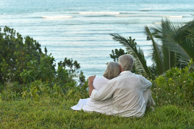 熱帯​の​ビーチ​に​座っている​幸せな​老​夫婦​。​背面図
