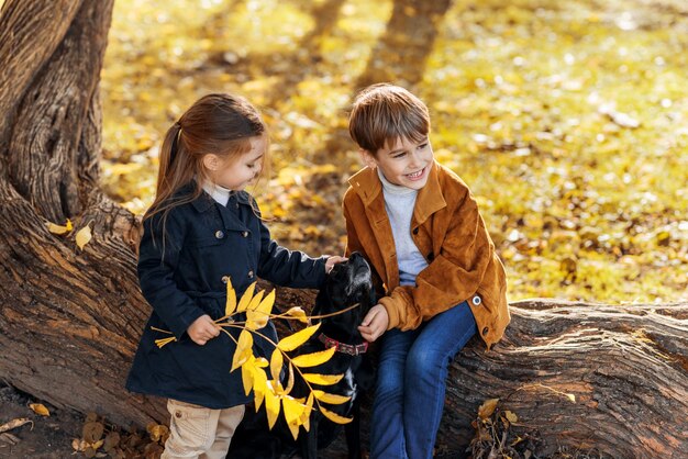 가을 공원에서 행복한 가족 형제와 자매는 나무 줄기에 앉아서 개를 쓰다듬습니다