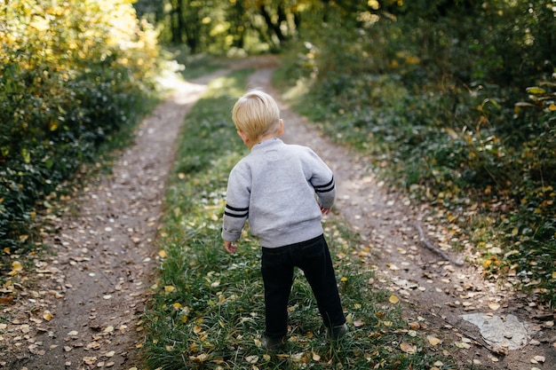 Foto gratuita famiglia felice giocando e ridendo nel parco in autunno