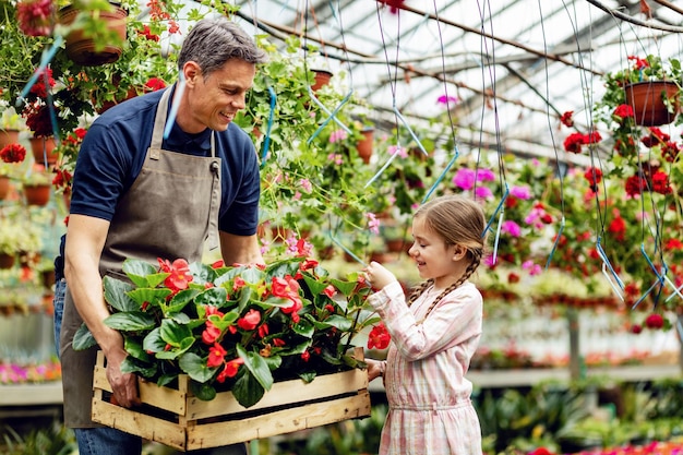 Счастливый отец держит ящик с цветами, а его дочь любуется ими в питомнике растений