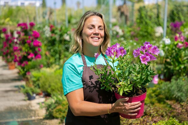 温室の中を歩いて、鉢植えの顕花植物を持って、笑顔で幸せな女性の花屋。ミディアムショット、コピースペース。ガーデニングの仕事や植物学の概念