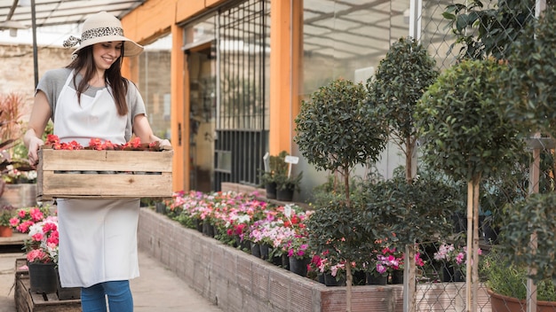 Happy female gardener carrying wooden crate full of red flowers in greenhouse