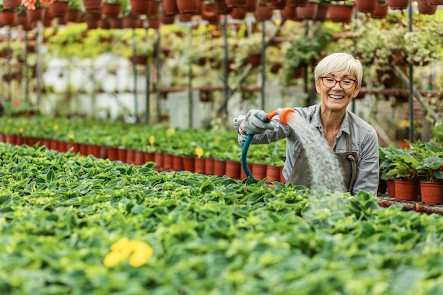 植物の苗床で庭のホースで鉢植えの花に水をまく幸せな女性の庭師