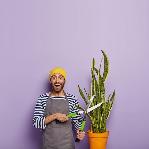 Free photo happy florist dressed in workwear, pruns snake plant, holds gardening shears, has pleased cheerful face expression