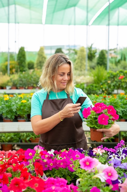 Happy florist taking photo of petunia plants on cellphone