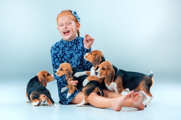 The happy girl and beagle puppies on gray wall