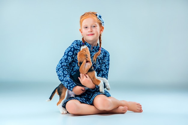 幸せな少女と灰色の壁にビーグル犬の子犬