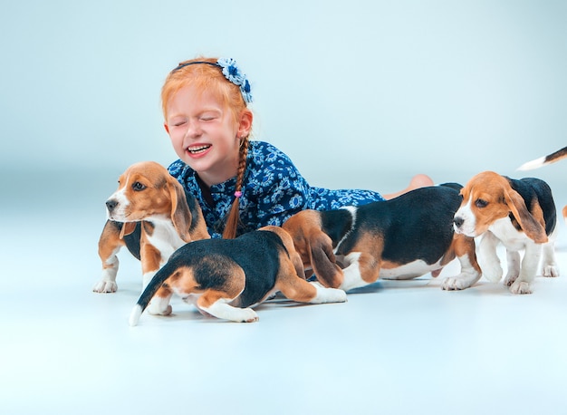 灰色の壁に幸せな女の子とビーグルの子犬