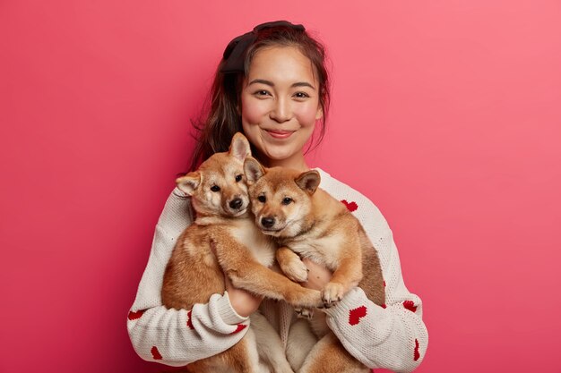 Happy korean female dog owner shows her family members, stands with two adorable pedigree puppies, bought hunting shiba inu dogs, spend time at home.