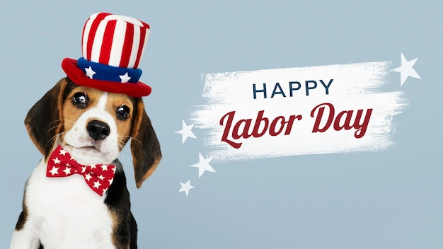 Free photo happy labor day from cute beagle in uncle sam hat
