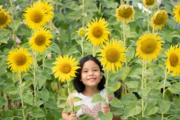 happy little asian girl having fun among blooming sunflowers under the gentle rays of the sun.