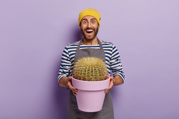 幸せな男性の植物学者が驚いたサボテンはとても速く成長し、とげのある観葉植物で紫色の鉢を保持します