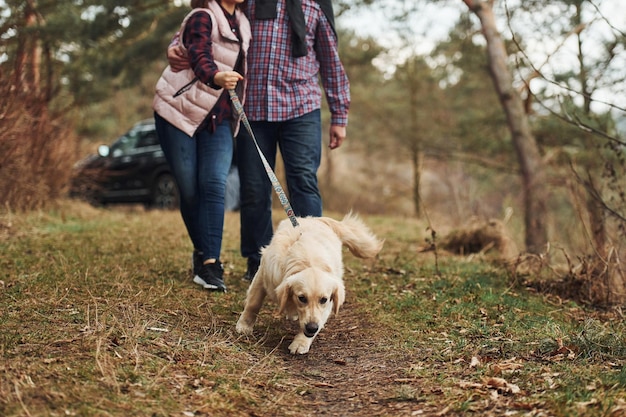 幸せな成熟したカップルは、現代の車の近くの秋や春の森で犬と散歩をしています Premium写真