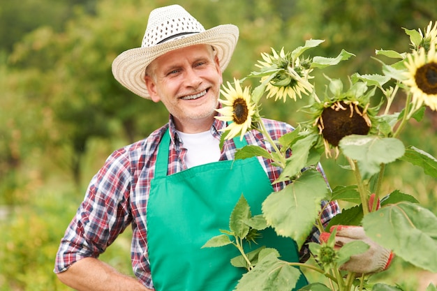 Happy mature man with sunflower in garden