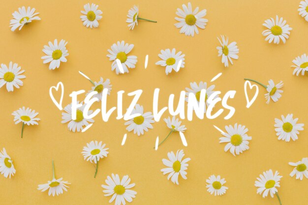 Free Photo happy monday concept with flowers arrangement