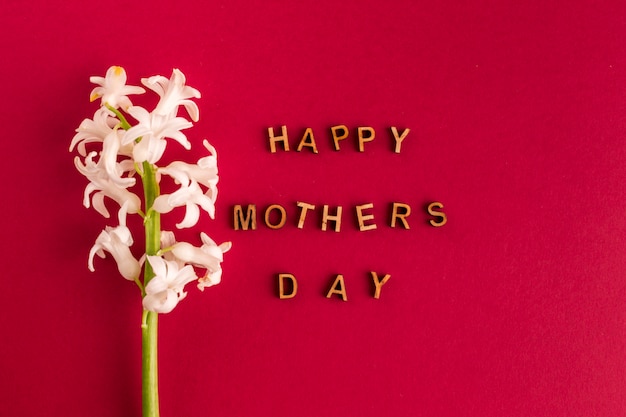 Foto gratuita iscrizione di giorno di madri felice vicino fiore